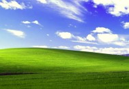 一键彻底关闭Windows Defender！这款神器专治各种误删拦截
